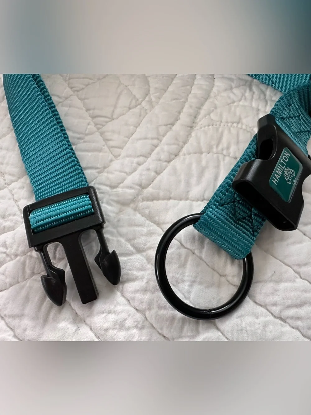 New~Hamilton Dog Collar